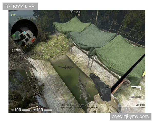 从零基础到高手之路CSGO全面技术攻略与实战技巧分享 从零基础到高手之路CSGO全面技术攻略与实战技巧分享